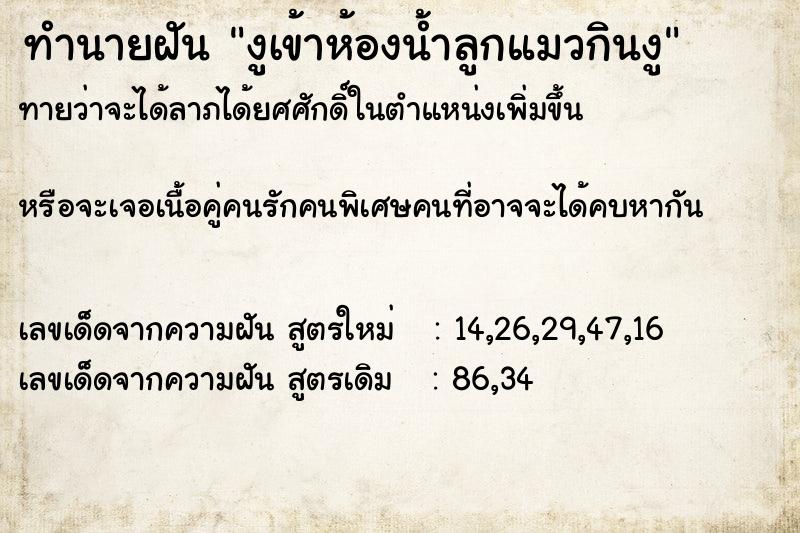 ทำนายฝันทำนายฝันงูเข้าห้องน้ำลูกแมวกินงู