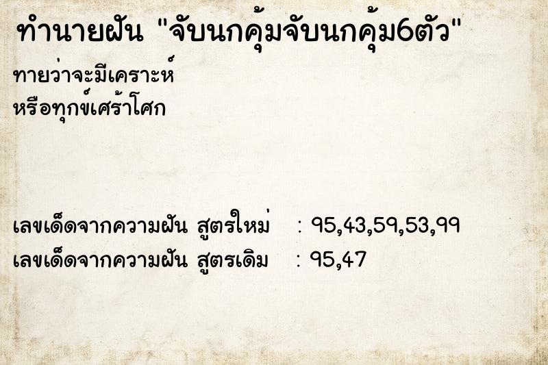 ทำนายฝันจับนกคุ้มจับนกคุ้ม6ตัว ทำนายฝันทำนายฝันจับนกคุ้มจับนกคุ้ม6ตัว