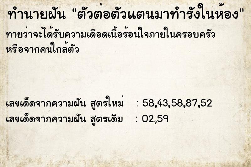 ทำนายฝันทำนายฝันตัวต่อตัวแตนมาทำรังในห้อง