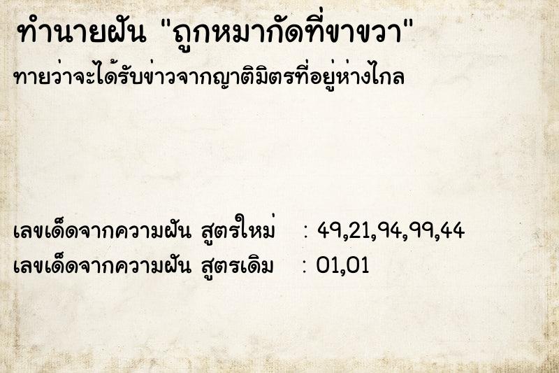 ทำนายฝันทำนายฝันถูกหมากัดที่ขาขวา