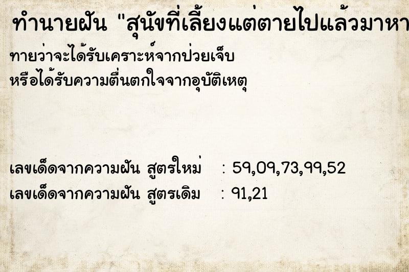 ทำนายฝันสุนัขที่เลี้ยงแต่ตายไปแล้วมาหา ทำนายฝันทำนายฝันสุนัขที่เลี้ยงแต่ตายไปแล้วมาหา