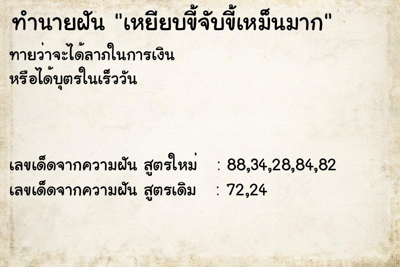 ทำนายฝันทำนายฝันเหยียบขี้จับขี้เหม็นมาก