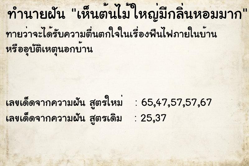 ทำนายฝันทำนายฝันเห็นต้นไม้ใหญ่มีกลิ่นหอมมาก