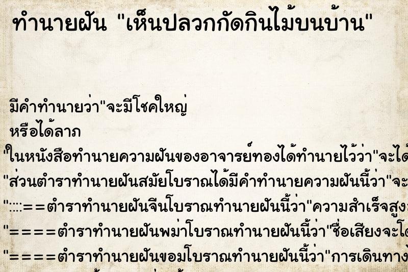 ทำนายฝันเห็นปลวกกัดกินไม้บนบ้าน ทำนายฝันทำนายฝันเห็นปลวกกัดกินไม้บนบ้าน