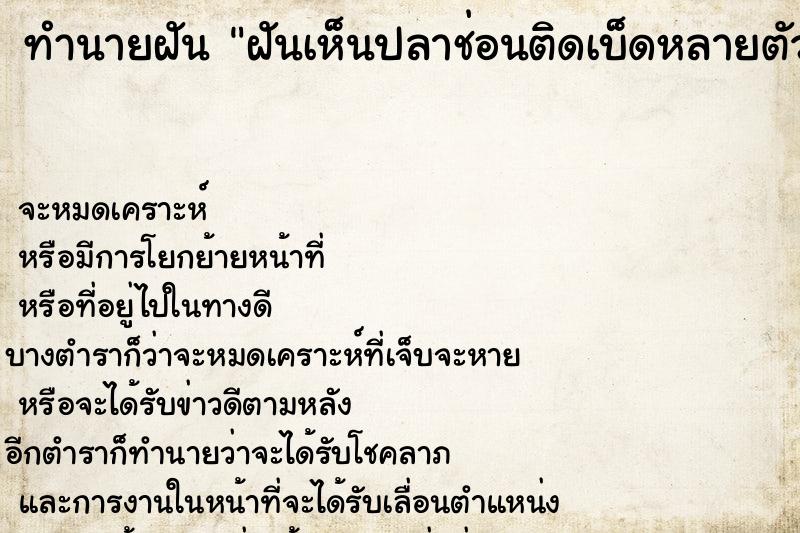 ทำนายฝันฝันเห็นปลาช่อนติดเบ็ดหลายตัว ทำนายฝันทำนายฝันฝันเห็นปลาช่อนติดเบ็ดหลายตัว