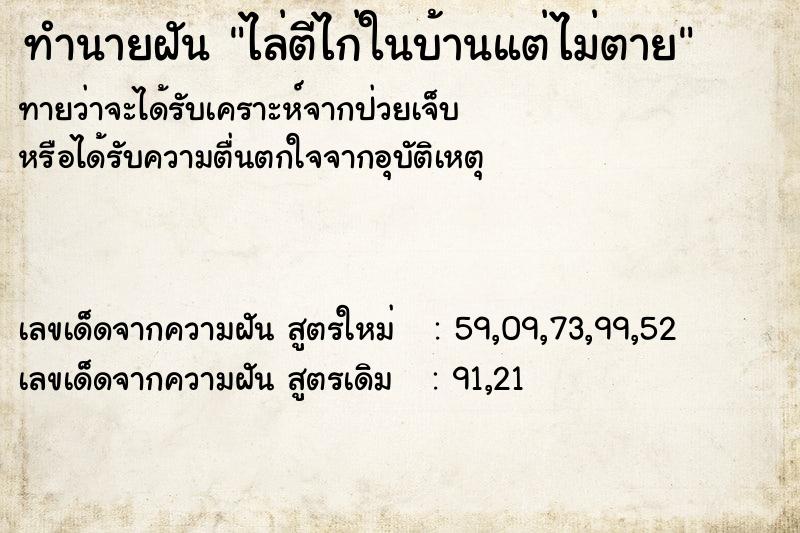 ทำนายฝัน ไล่ตีไก่ในบ้านแต่ไม่ตาย ทำนายฝัน ไล่ตีไก่ในบ้านแต่ไม่ตาย
