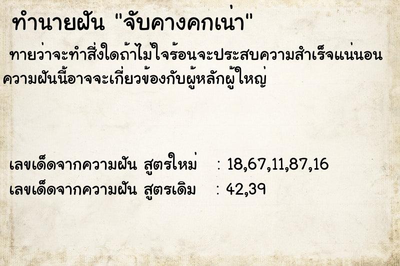 ทำนายฝันจับคางคกเน่า ทำนายฝันทำนายฝันจับคางคกเน่า