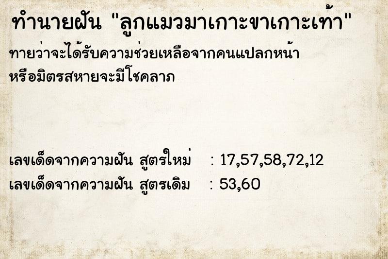 ทำนายฝันทำนายฝันลูกแมวมาเกาะขาเกาะเท้า