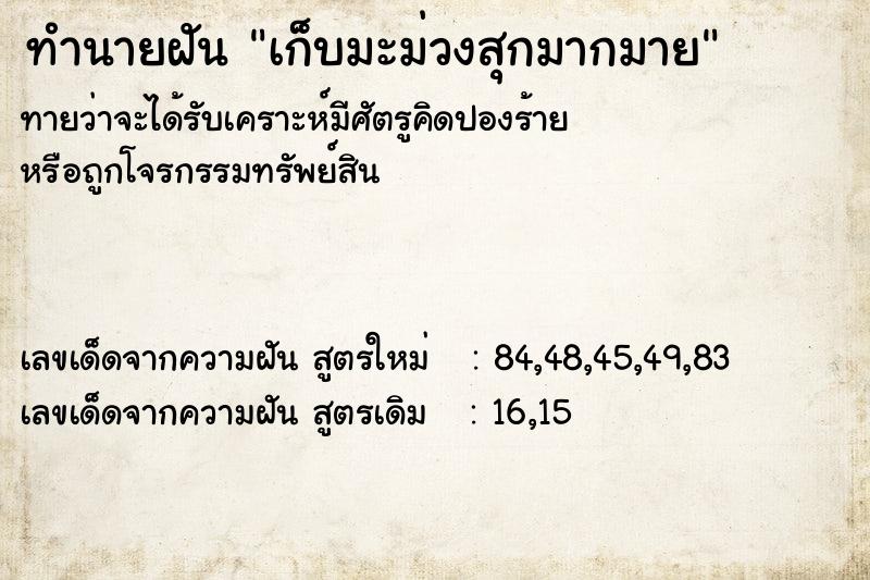 ทำนายฝันทำนายฝันเก็บมะม่วงสุกมากมาย