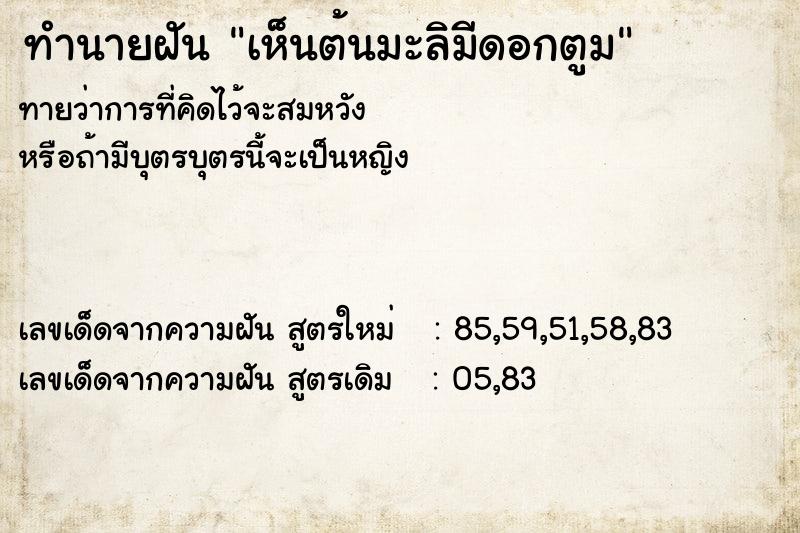 ทำนายฝันทำนายฝันเห็นต้นมะลิมีดอกตูม