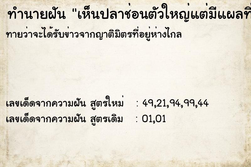 ทำนายฝันทำนายฝันเห็นปลาช่อนตัวใหญ่แต่มีแผลที่หัว