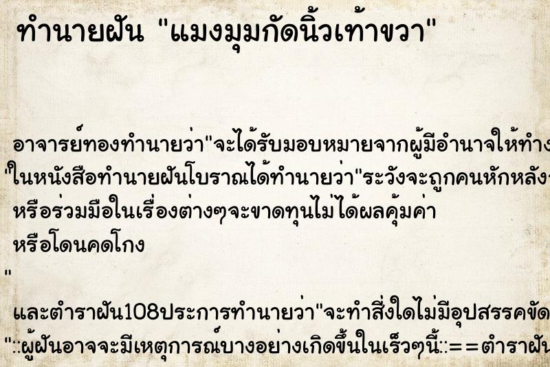 ทำนายฝัน แมงมุมกัดนิ้วเท้าขวา ทำนายฝัน แมงมุมกัดนิ้วเท้าขวา
