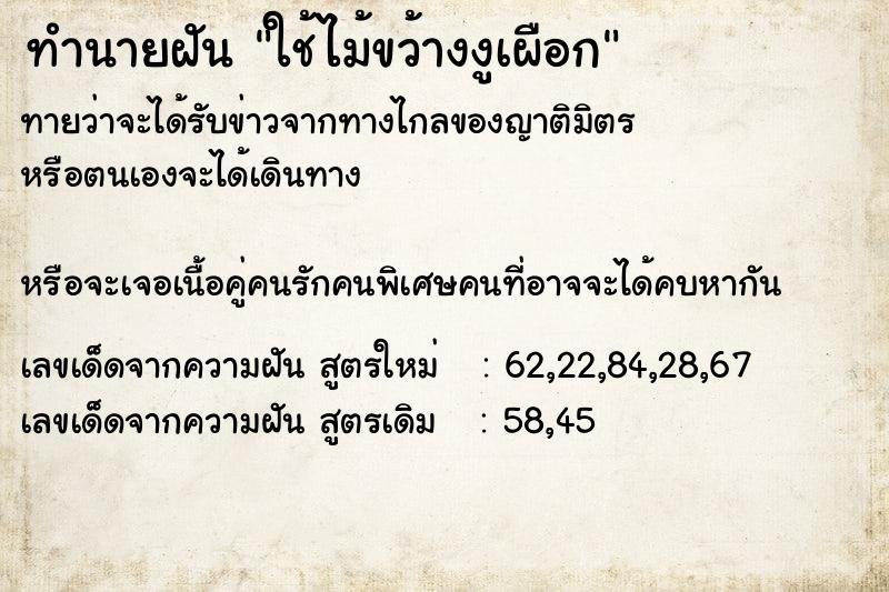 ทำนายฝันทำนายฝันใช้ไม้ขว้างงูเผือก