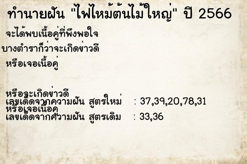ทำนายฝัน ไฟไหม้ต้นไม้ใหญ่
