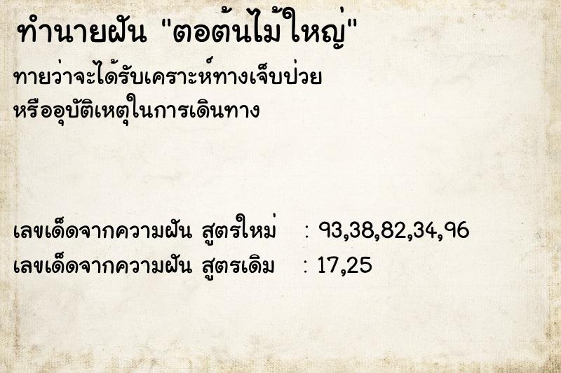 ทำนายฝันทำนายฝันตอต้นไม้ใหญ่