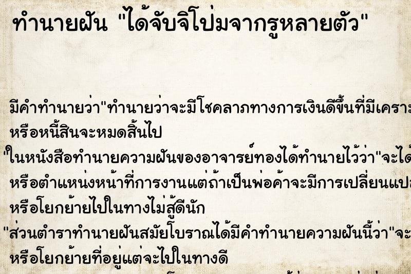 ทำนายฝัน ได้จับจิโป่มจากรูหลายตัว ทำนายฝัน ได้จับจิโป่มจากรูหลายตัว