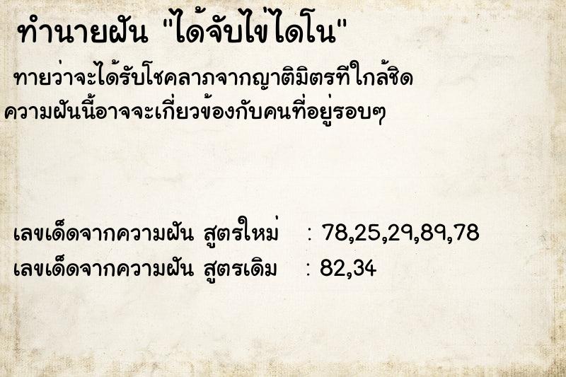 ทำนายฝันทำนายฝันได้จับไข่ไดโน