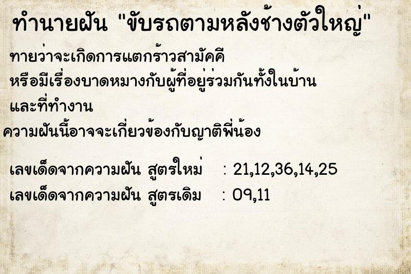 ทำนายฝันขับรถตามหลังช้างตัวใหญ่ ทำนายฝันทำนายฝันขับรถตามหลังช้างตัวใหญ่