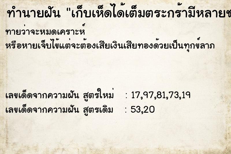 ทำนายฝันทำนายฝันเก็บเห็ดได้เต็มตระกร้ามีหลายชนิด