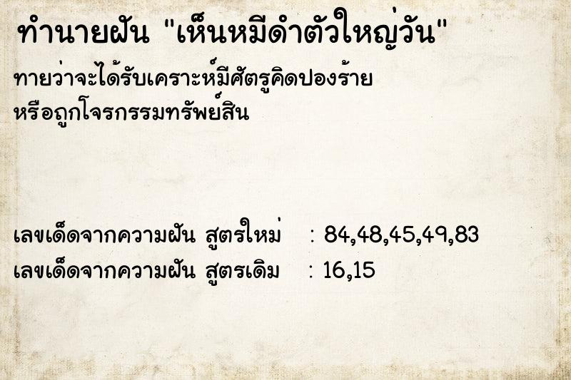 ทำนายฝัน เห็นหมีดำตัวใหญ่วัน