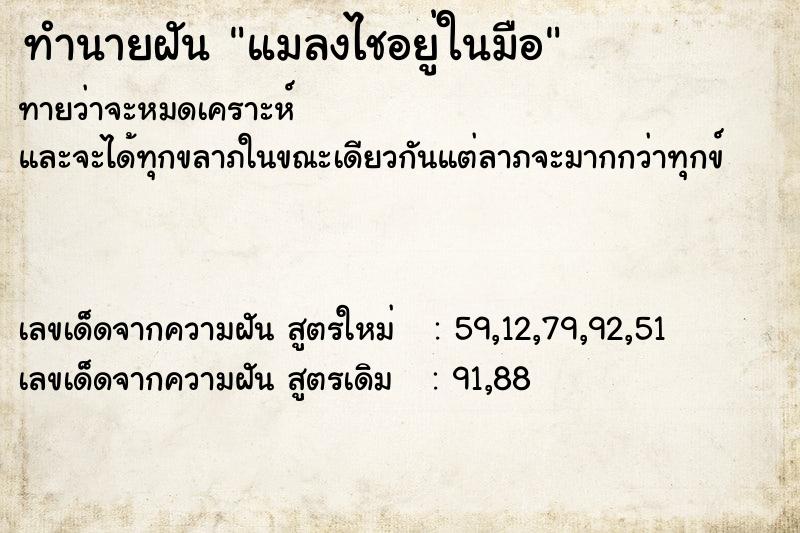 ทำนายฝัน แมลงไชอยู่ในมือ ทำนายฝัน แมลงไชอยู่ในมือ