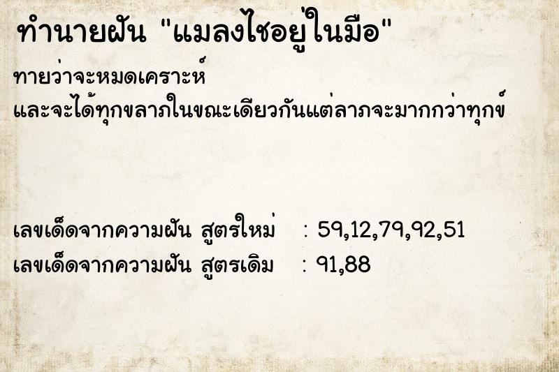 ทำนายฝัน แมลงไชอยู่ในมือ ตำราโบราณ แม่นที่สุดในโลก