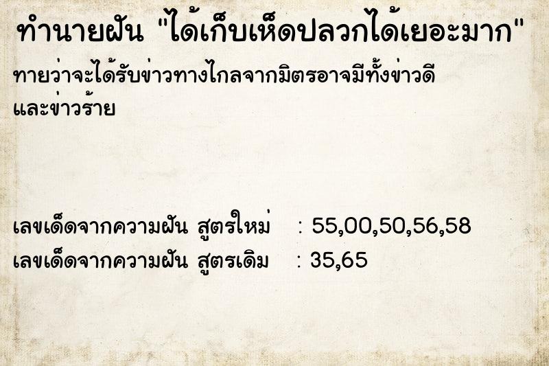 ทำนายฝัน ได้เก็บเห็ดปลวกได้เยอะมาก ทำนายฝัน ได้เก็บเห็ดปลวกได้เยอะมาก