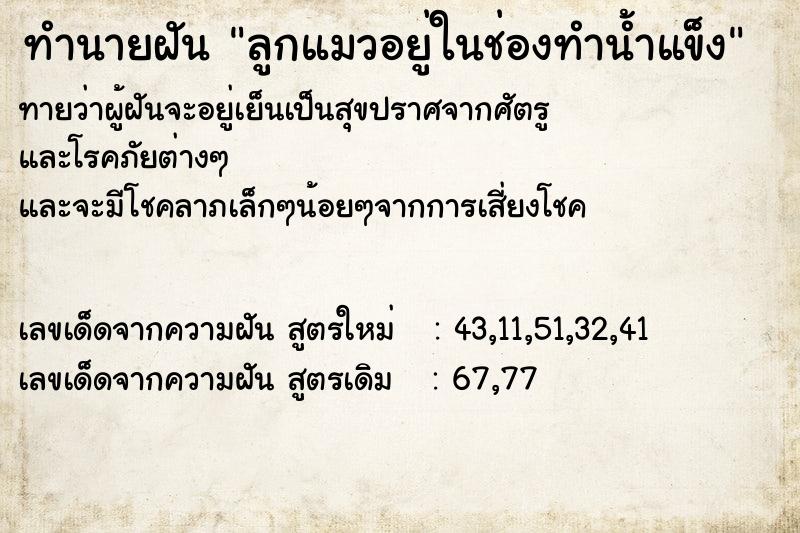 ทำนายฝัน ลูกแมวอยู่ในช่องทำน้ำแข็ง