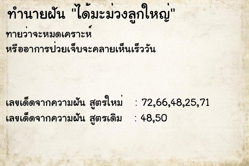 ทำนายฝันได้มะม่วงลูกใหญ่ ทำนายฝันทำนายฝันได้มะม่วงลูกใหญ่