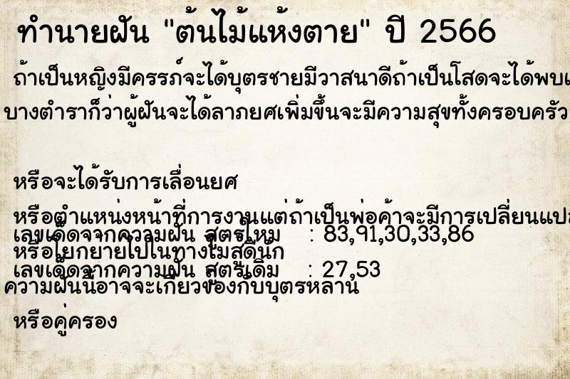 ทำนายฝัน ต้นไม้แห้งตาย ทำนายฝัน ต้นไม้แห้งตาย
