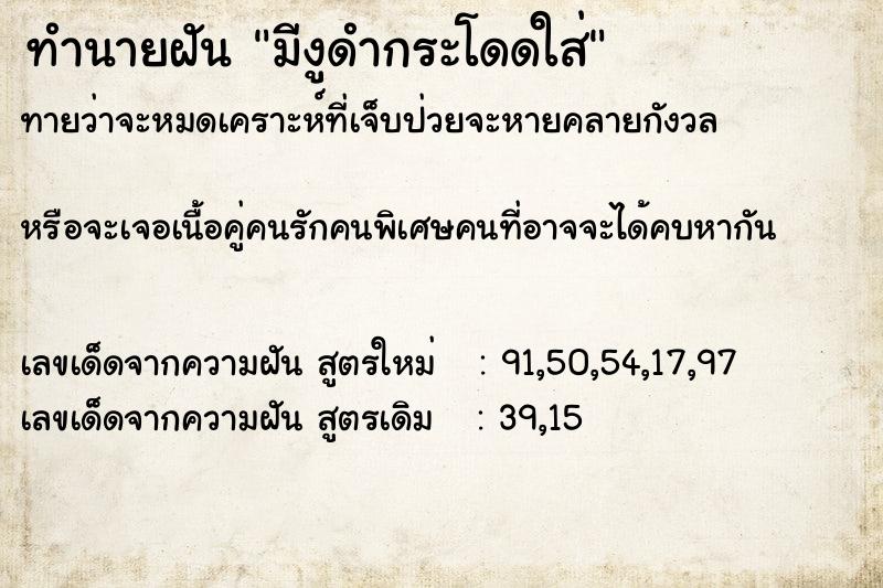 ทำนายฝันทำนายฝันมีงูดำกระโดดใส่