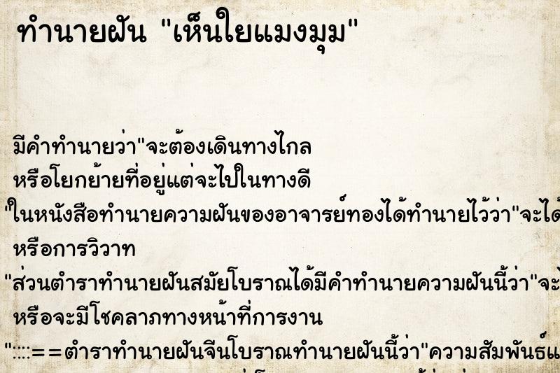 ทำนายฝัน เห็นใยแมงมุม ทำนายฝัน เห็นใยแมงมุม