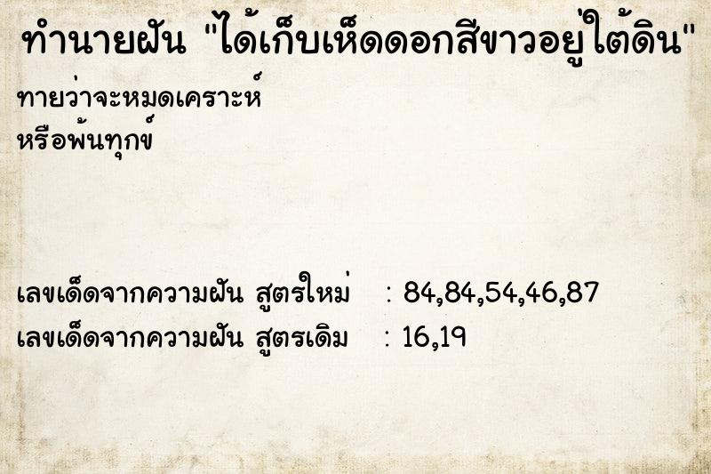 ทำนายฝันทำนายฝันได้เก็บเห็ดดอกสีขาวอยู่ใต้ดิน