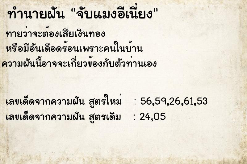 ทำนายฝันจับแมงอีเนี่ยง ทำนายฝันทำนายฝันจับแมงอีเนี่ยง