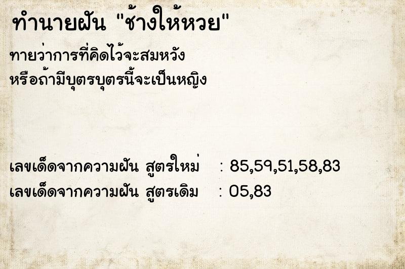 ทำนายฝันช้างให้หวย ทำนายฝันทำนายฝันช้างให้หวย