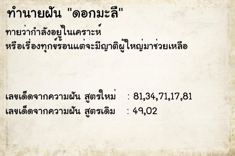 ทำนายฝันดอกมะลื ทำนายฝันทำนายฝันดอกมะลื