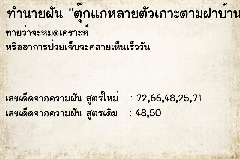 ทำนายฝัน ตุ๊กแกหลายตัวเกาะตามฝาบ้าน