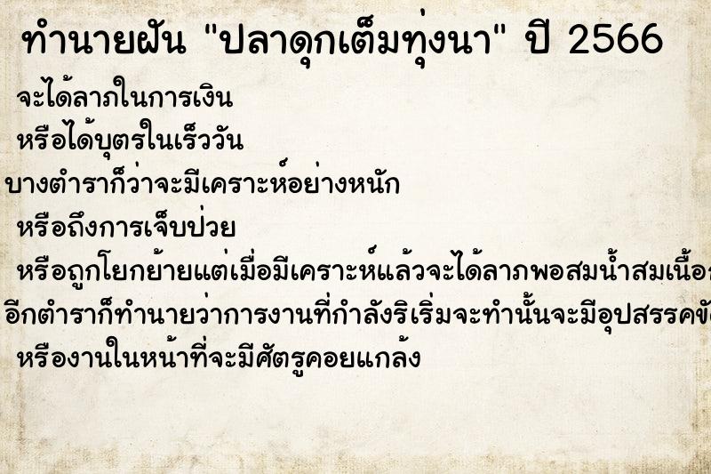 ทำนายฝัน ปลาดุกเต็มทุ่งนา ทำนายฝัน ปลาดุกเต็มทุ่งนา