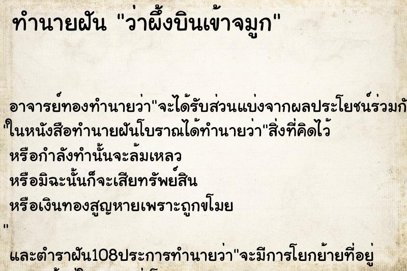 ทำนายฝันทำนายฝันว่าผึ้งบินเข้าจมูก