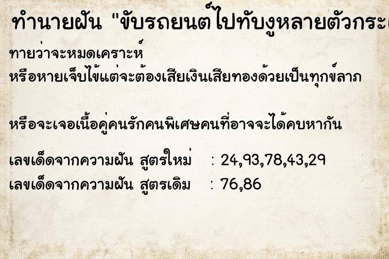 ทำนายฝันขับรถยนต์ไปทับงูหลายตัวกระเด็นเต็มถนน ทำนายฝันทำนายฝันขับรถยนต์ไปทับงูหลายตัวกระเด็นเต็มถนน