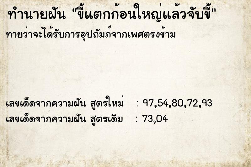 ทำนายฝันขี้แตกก้อนใหญ่แล้วจับขี้ ทำนายฝันทำนายฝันขี้แตกก้อนใหญ่แล้วจับขี้