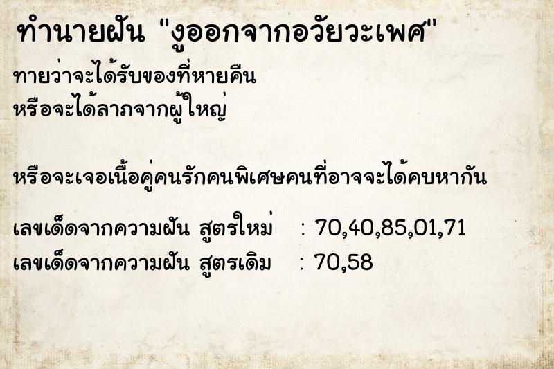 ทำนายฝันงูออกจากอวัยวะเพศ ทำนายฝันทำนายฝันงูออกจากอวัยวะเพศ