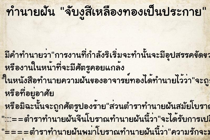 ทำนายฝัน จับงูสีเหลืองทองเป็นประกาย ทำนายฝัน จับงูสีเหลืองทองเป็นประกาย