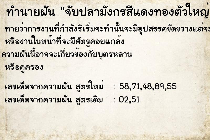 ทำนายฝันทำนายฝันจับปลามังกรสีแดงทองตัวใหญ่มากยื่นให้สามี