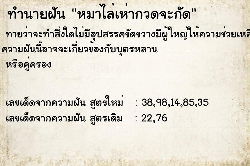 ทำนายฝัน หมาไล่เห่ากวดจะกัด ทำนายฝัน หมาไล่เห่ากวดจะกัด