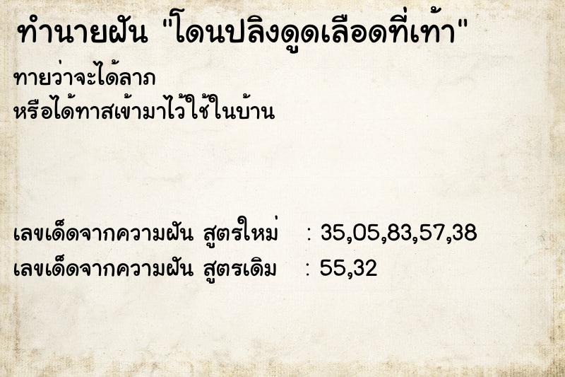 ทำนายฝันทำนายฝันโดนปลิงดูดเลือดที่เท้า