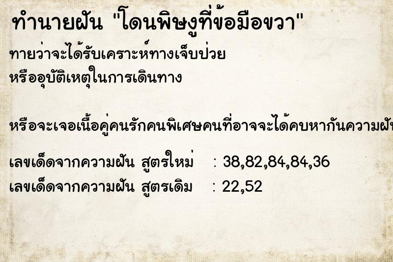 ทำนายฝันทำนายฝันโดนพิษงูที่ข้อมือขวา
