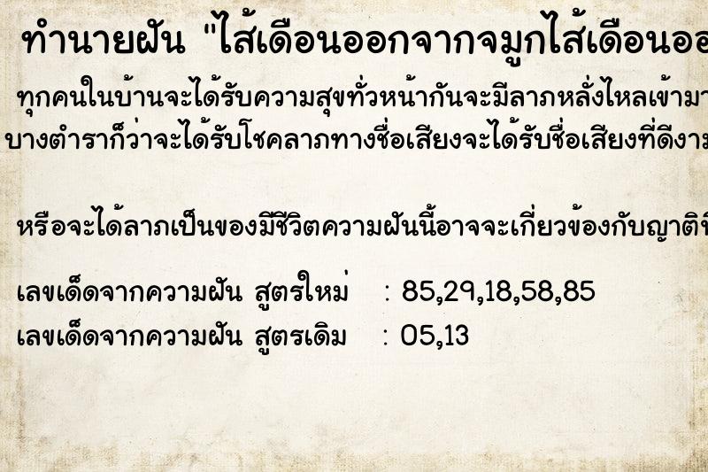 ทำนายฝันทำนายฝันไส้เดือนออกจากจมูกไส้เดือนออกจากจมูก