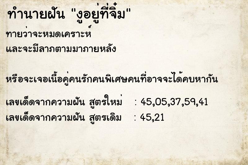 ทำนายฝันทำนายฝันงูอยู่ที่จิ๋ม