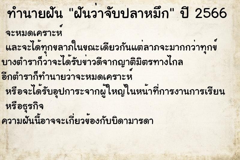 ทำนายฝันฝันว่าจับปลาหมึก ทำนายฝันทำนายฝันฝันว่าจับปลาหมึก